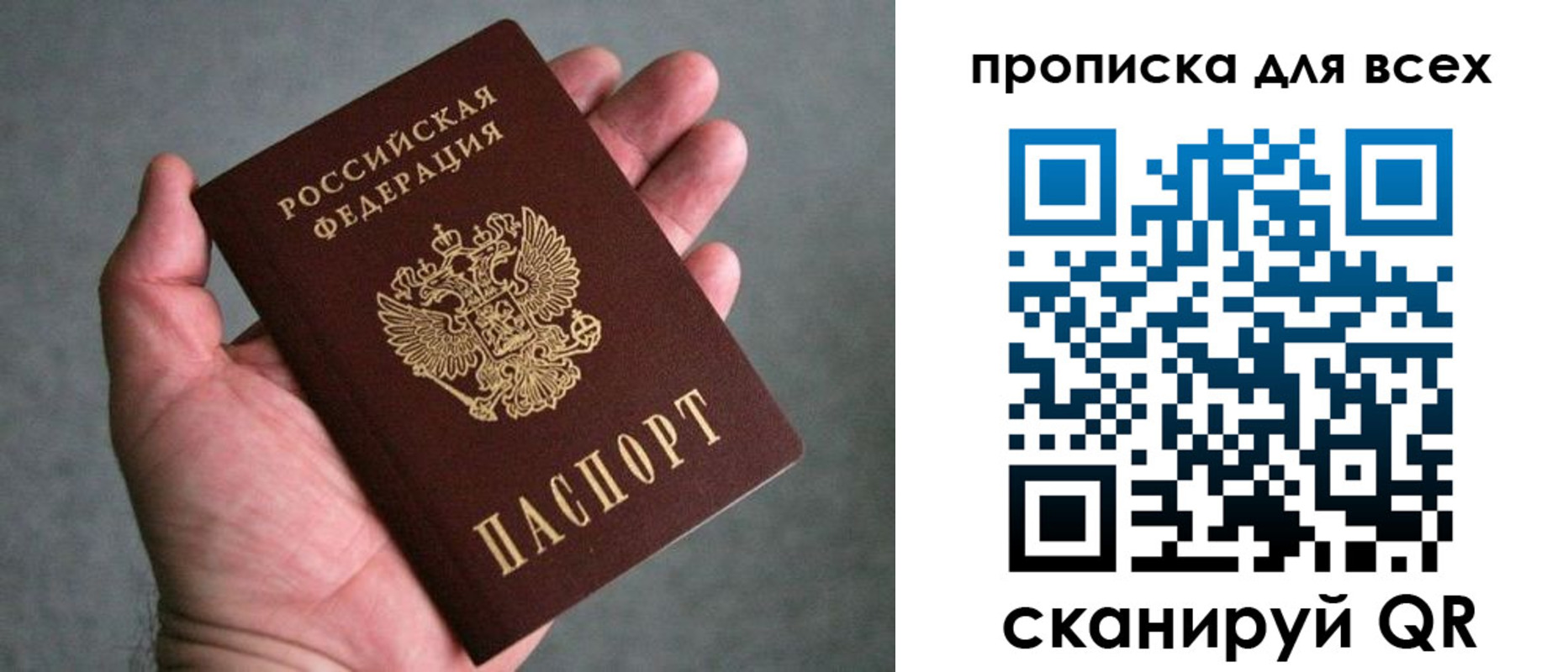 прописка в Борзе
